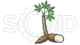 cropped solidcassava.png